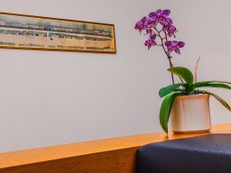 Orchidee